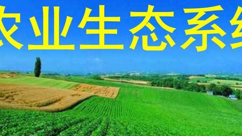 休闲农业补贴政策：乡村旅游发展的新动力**