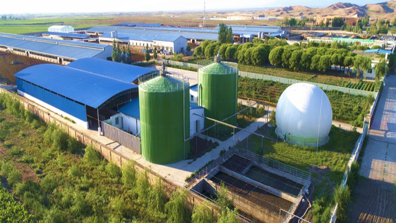 农业产业园温室大棚：规格参数与标准解析**