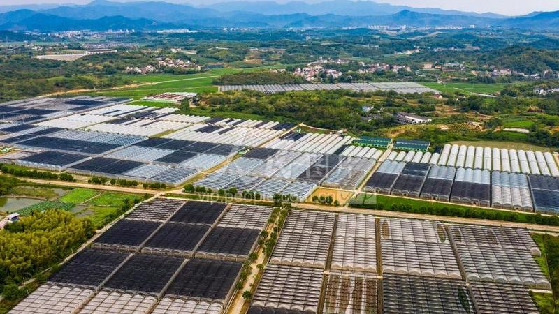 果蔬配送中心标准化建设：从粗放运营到系统管控