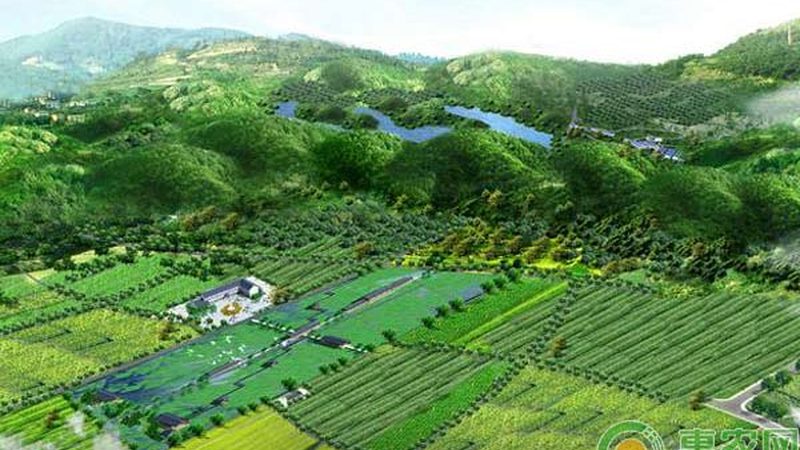 花卉种植，土壤先行：揭秘花卉种植流程与土壤选择之道
