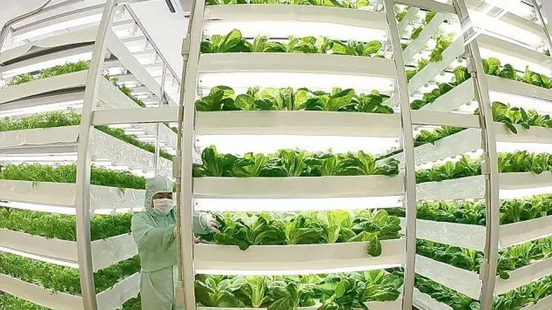 合作社注销流程解析：如何合法合规省心省力