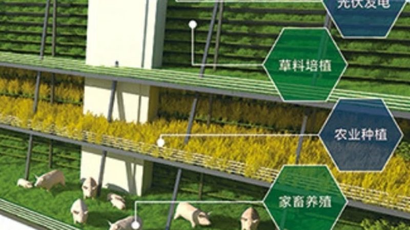粮食种植土壤检测：标准与重要性