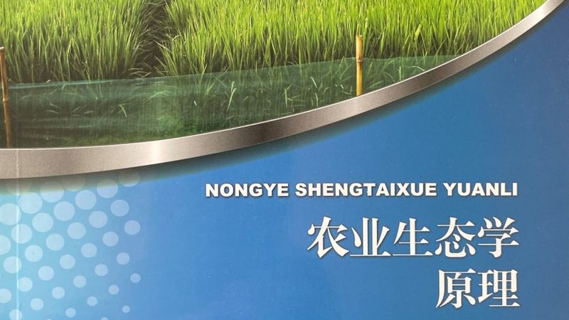 山东大棚造价揭秘：一亩多少钱的合理预算**