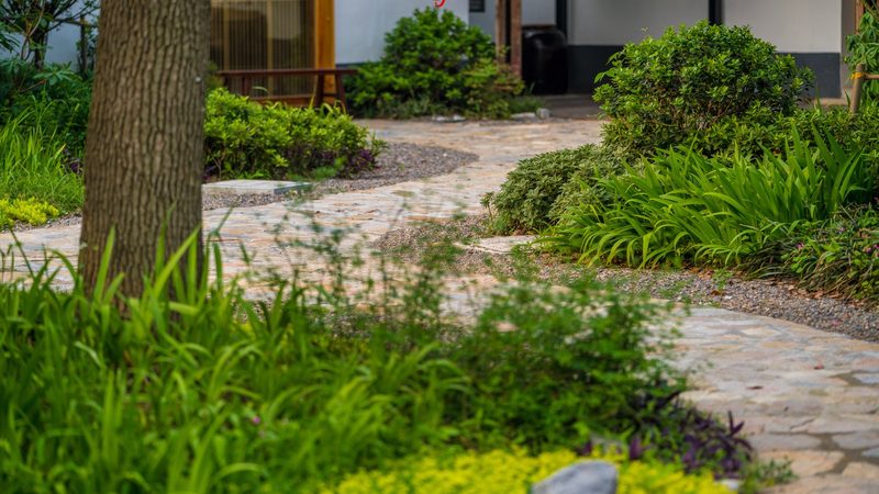 广东休闲农业政府补贴政策解读：如何抓住发展机遇