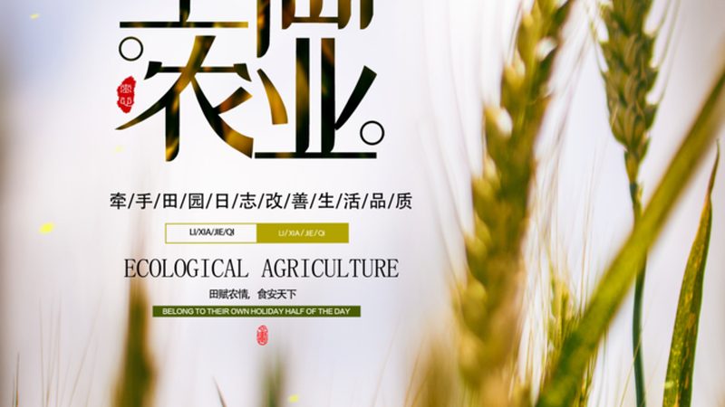无土栽培立体种植架批发，这些坑你踩过几个